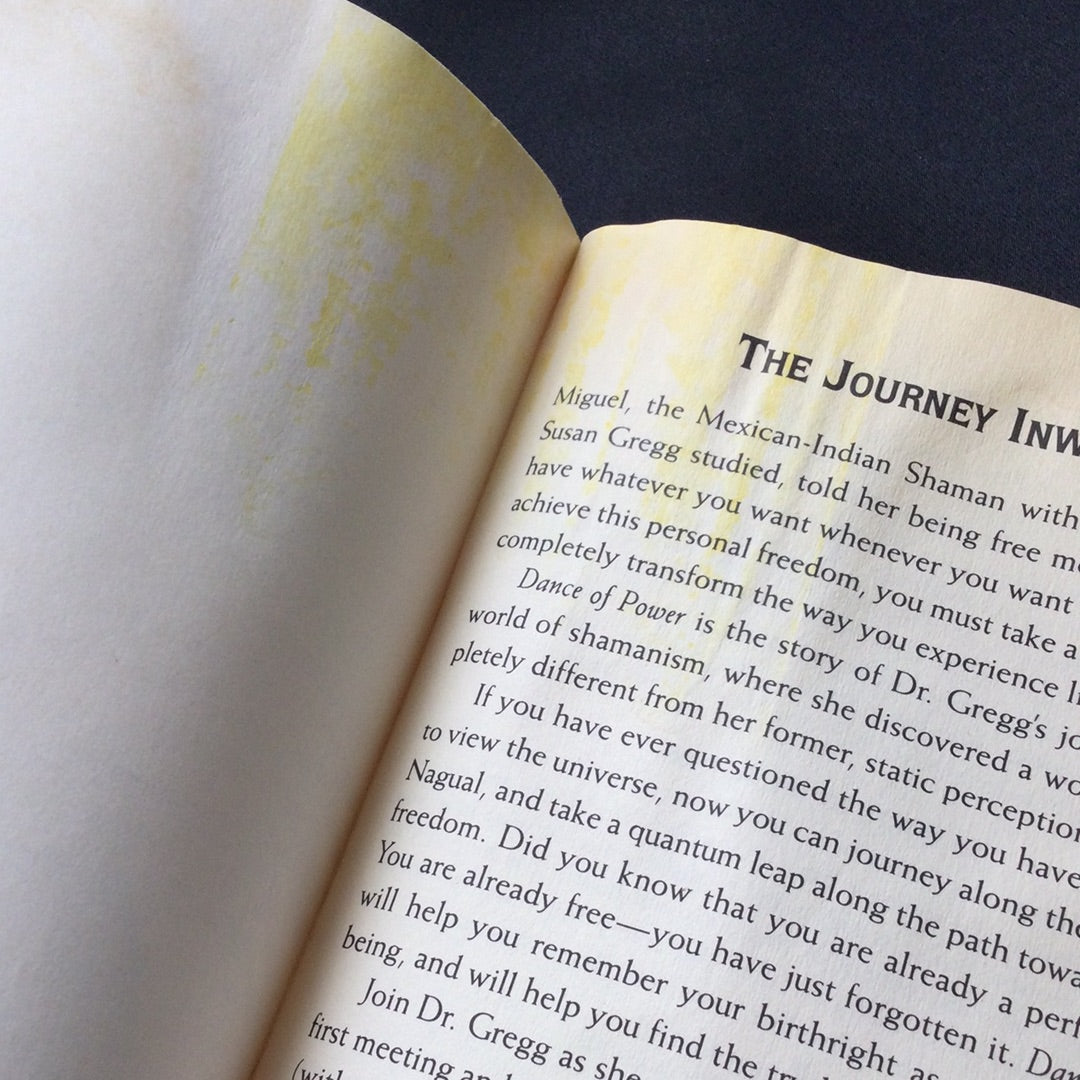 ‘Dance of Power, A Shamanic Journey’ by Dr. Susan Gregg