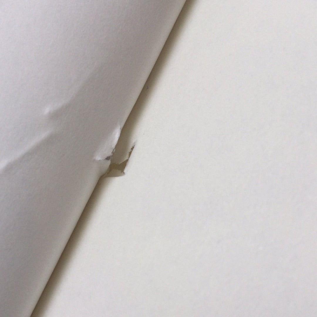 ‘The Mastery of Love’ by Don Miguel Ruiz