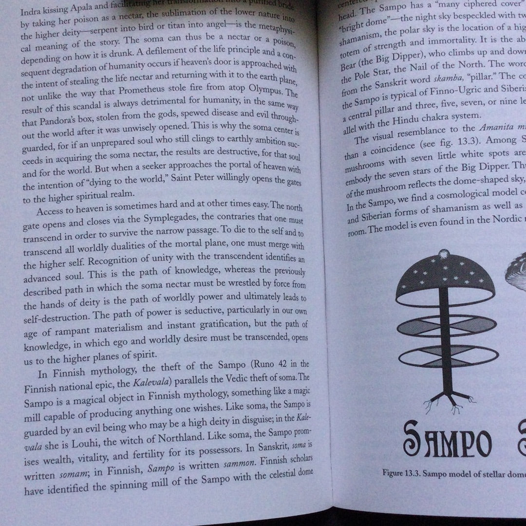 'Galactic Alignment The Transformation of Consciousness, According to Mayan, Egyptian, and Vedic Traditions' by John Major Jenkins