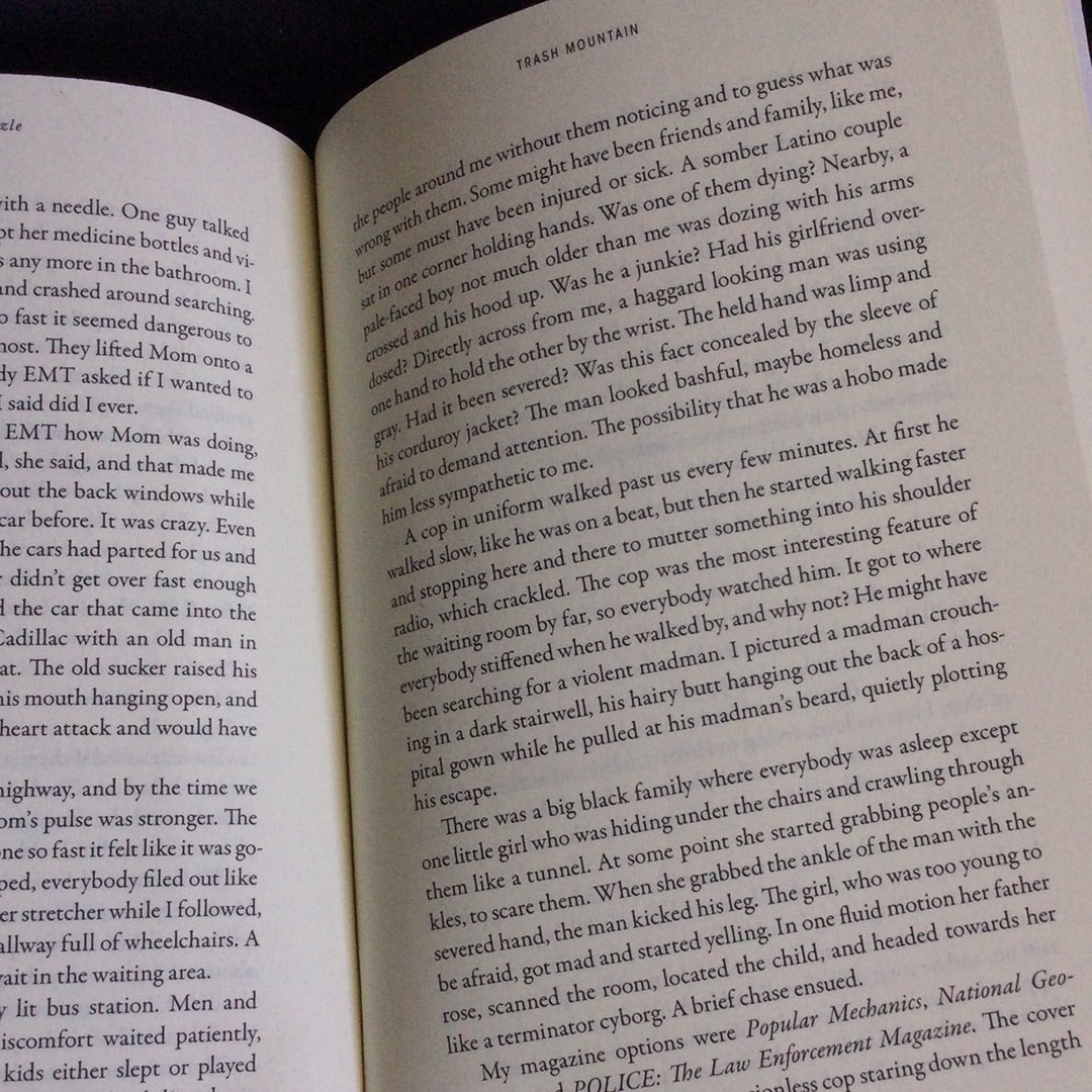 'Trash Mountain' by Bradley Bazzle