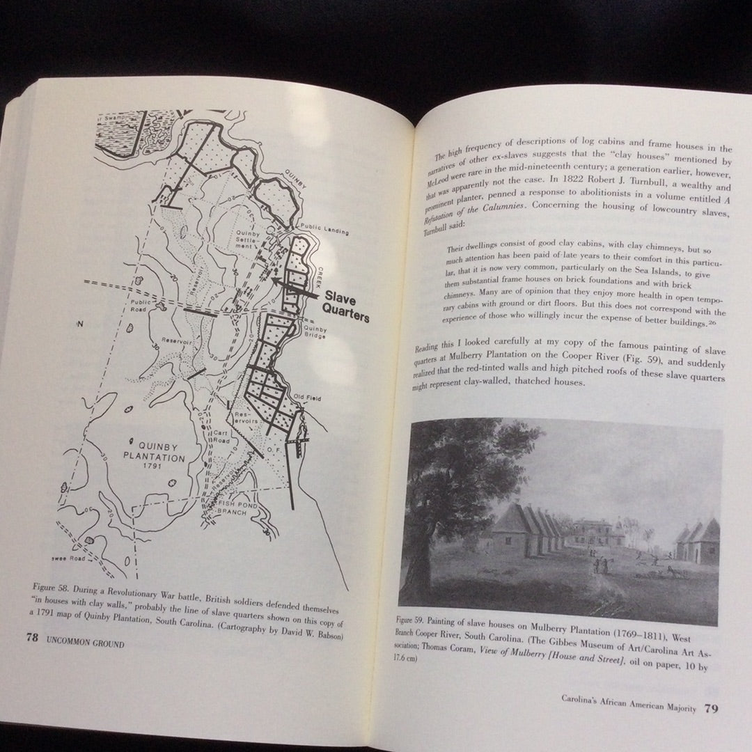 'Uncommon Ground, Archaeology and Early African America, 1650-1800' by Leland Ferguson