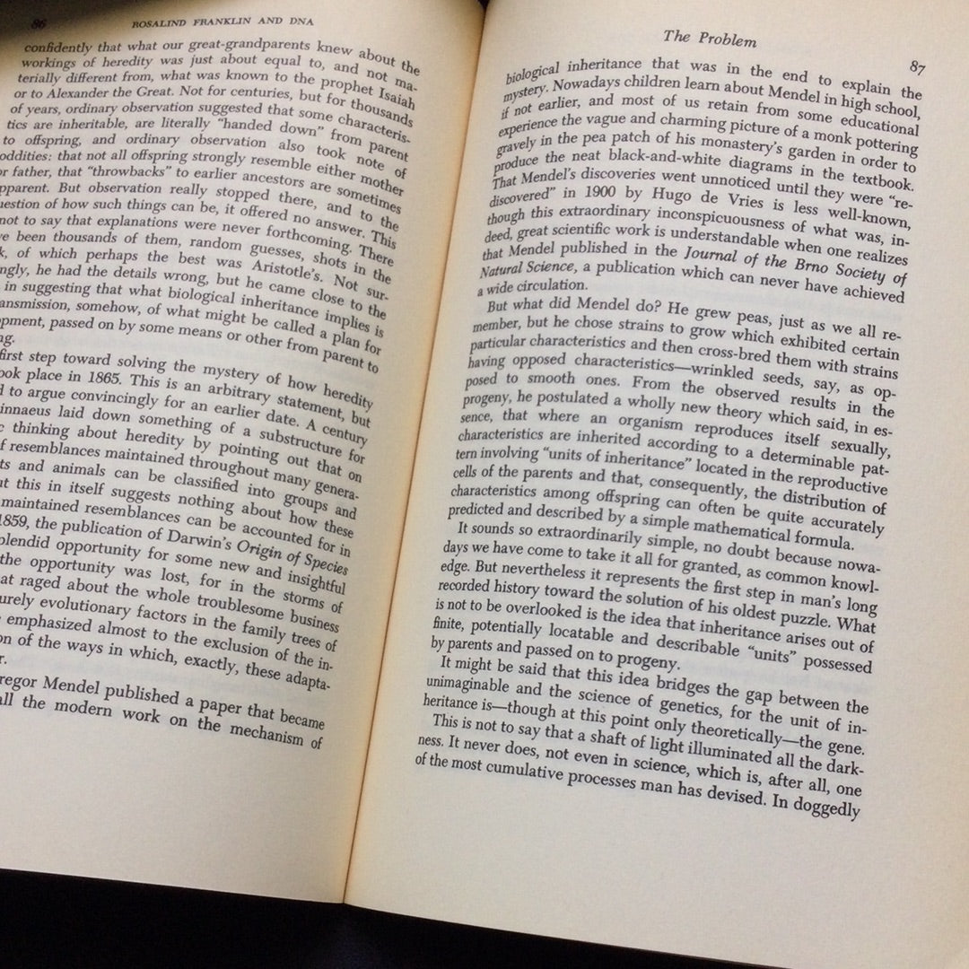 'Rosalind Franklin and DNA' by Anne Sayre