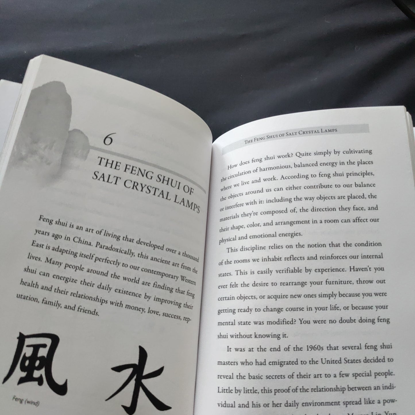 'Himalayan Salt Crystal Lamps, For Healing, Harmony and Purification' by Clemence Lefevre