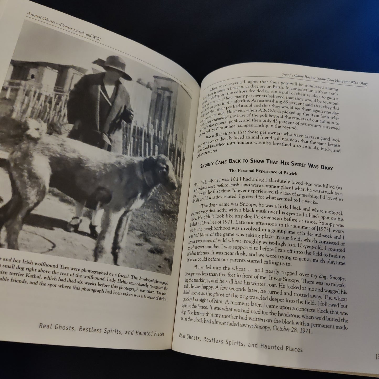 'Real Ghosts, Restless Spirits, and Haunted Places' by Brad Steiger