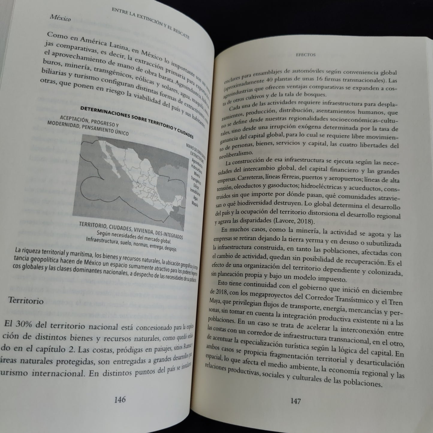 'Entre La Extincion y El Rescate' by Carlos Lavore