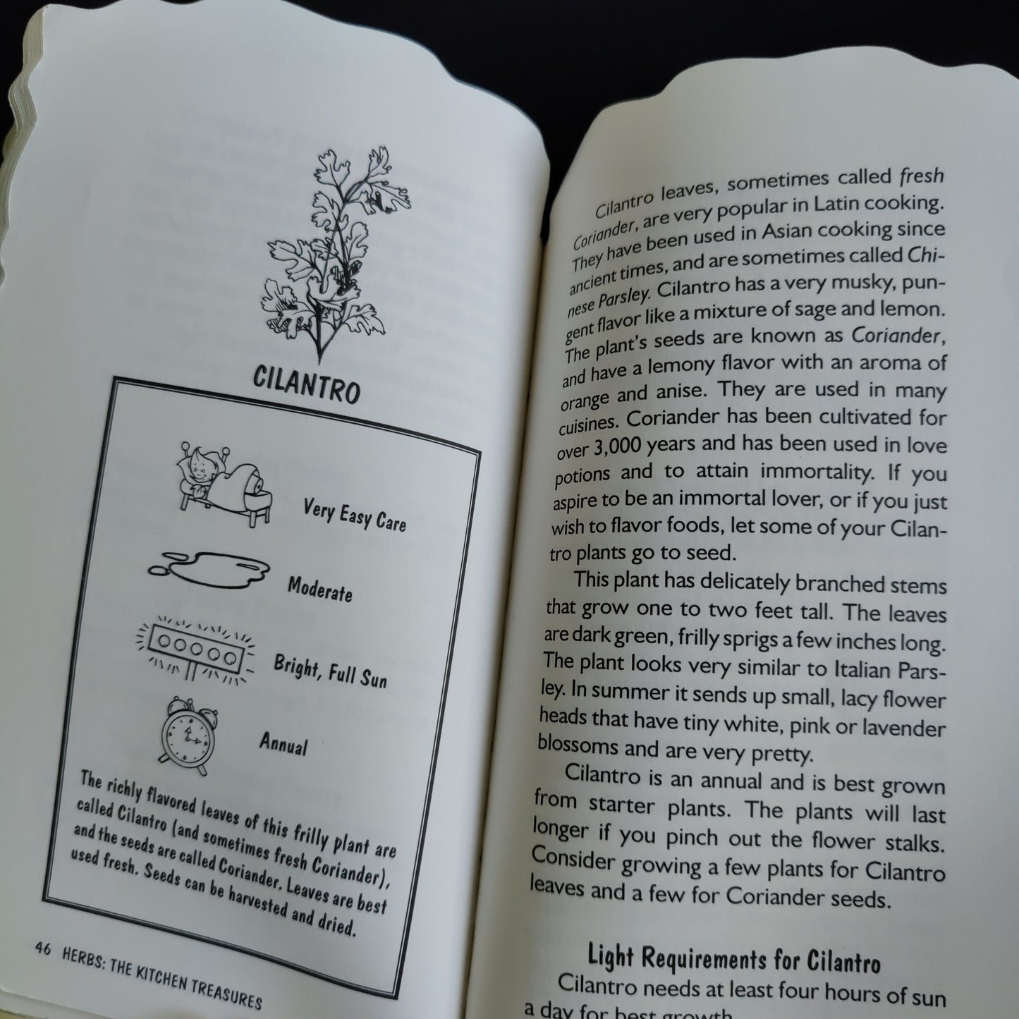 'Herbs Indoor Gardening for Brown Thumbs' by Gary Spahl