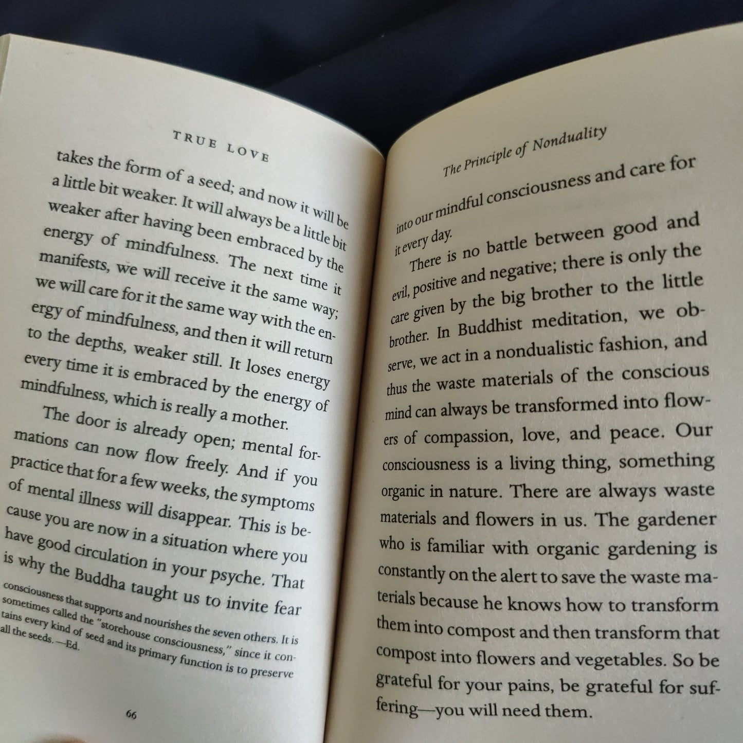 'True Love' by Thich Nhat Hanh