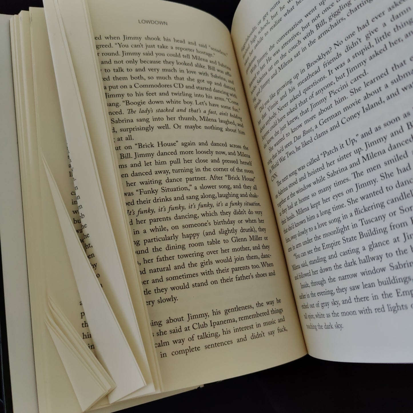 'Lowdown' by Anthony Schneid