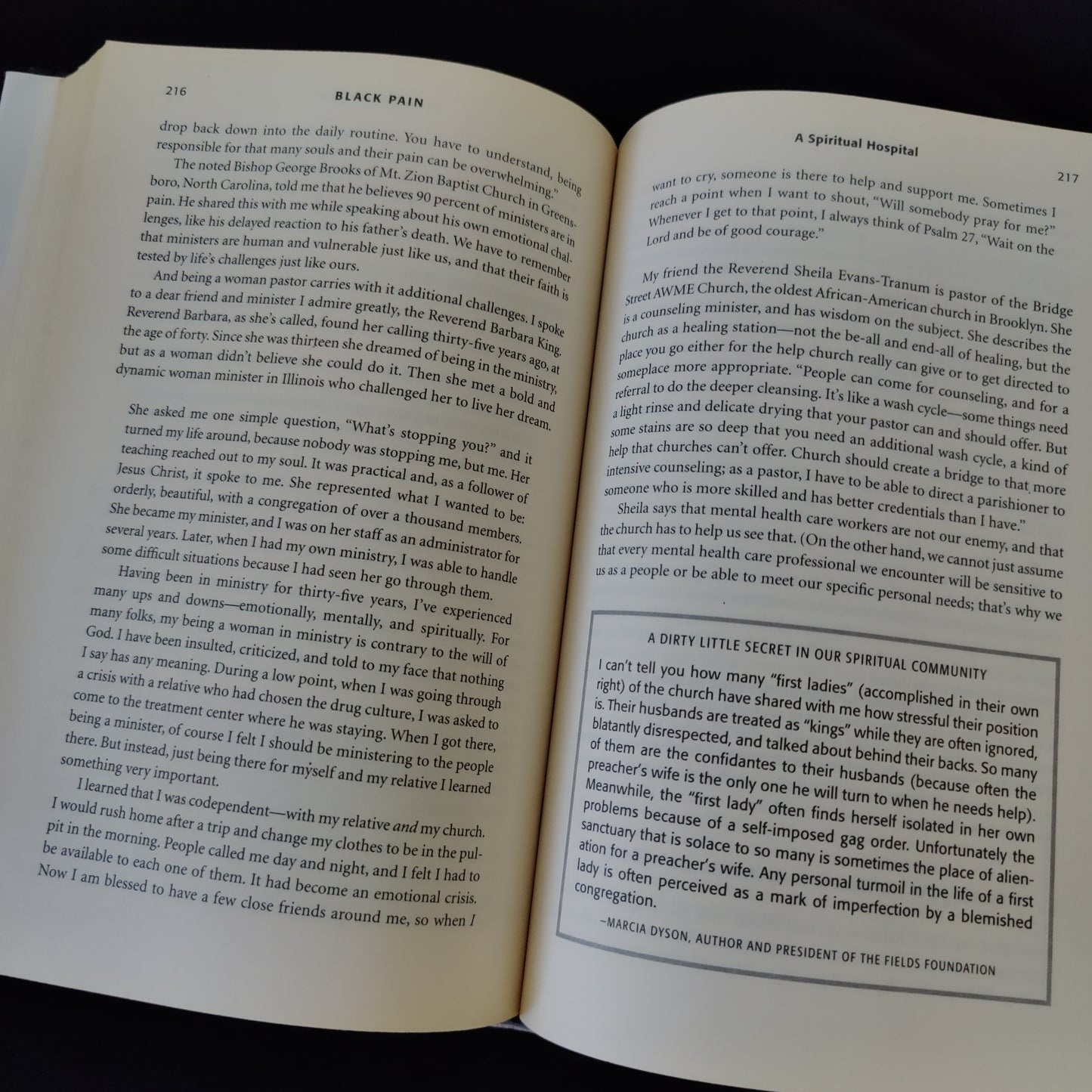 'Black Pain' by Terrie M. Williams