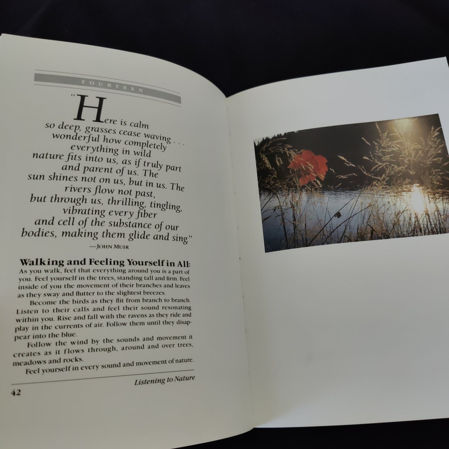 'Listening to Nature, How to Deepen Your Awareness of Nature' by Joseph Cornell