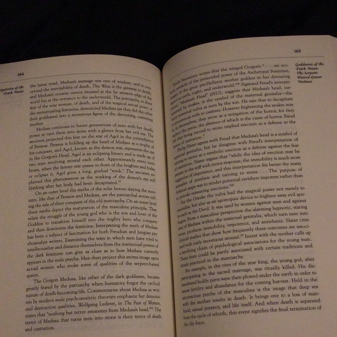 ‘Mysteries of the Dark Moon, the Healing Power of the Dark Goddess’ by Demetra George