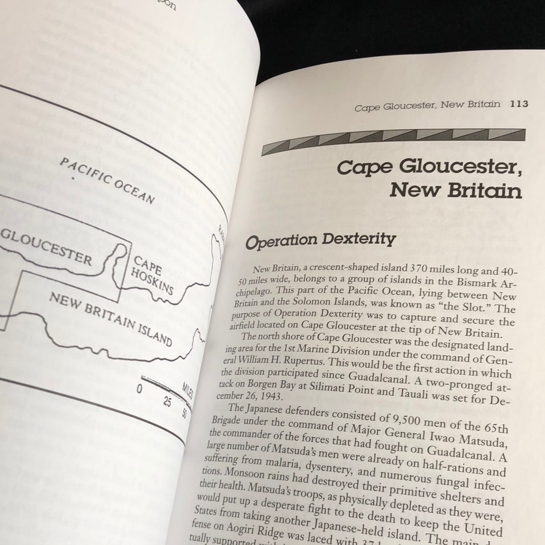 ‘Navajo Weapon’ by Sally McClain