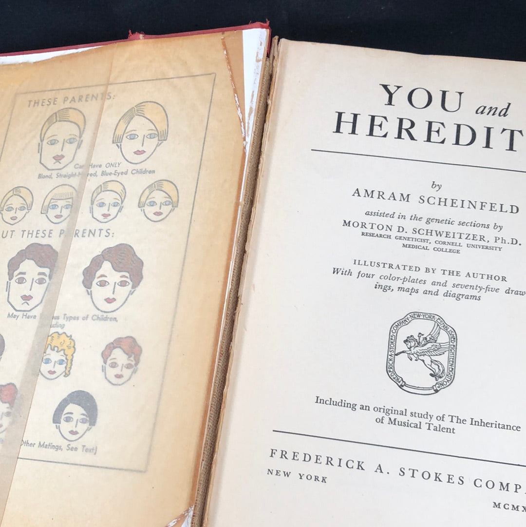 ‘You And Hereditary’ by Amram Scheinfeld