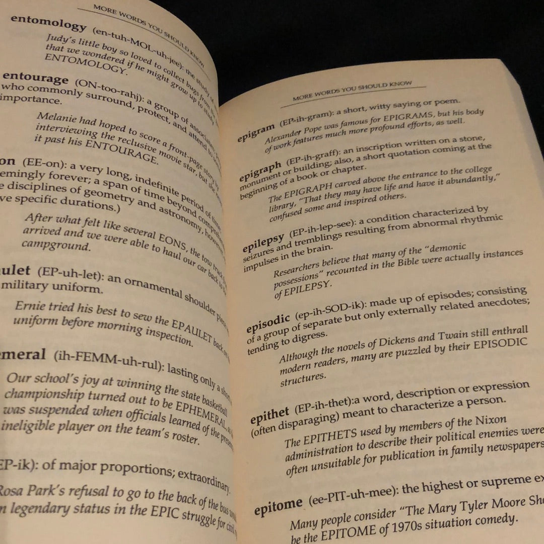 ‘More Words You Should Know’ by Michelle Bevilacqua