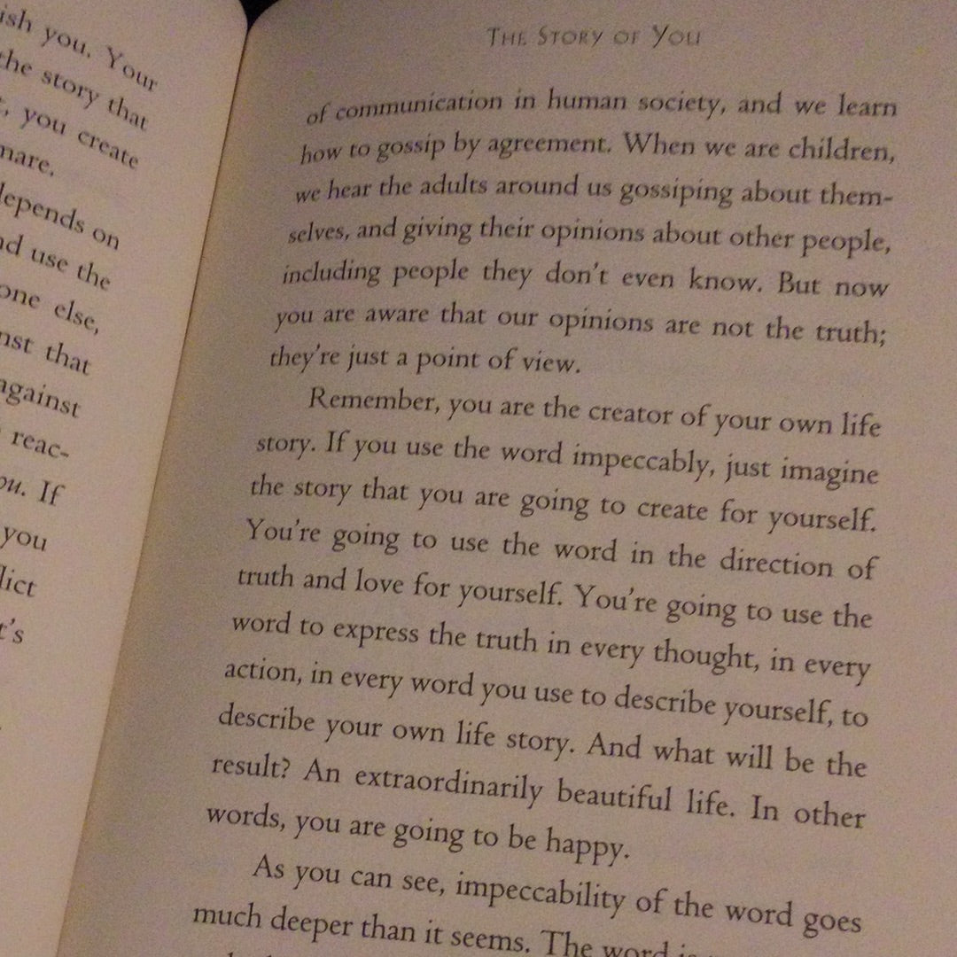 ‘The Fifth Agreement’ by Don Miguel Ruiz & Don Jose Ruiz