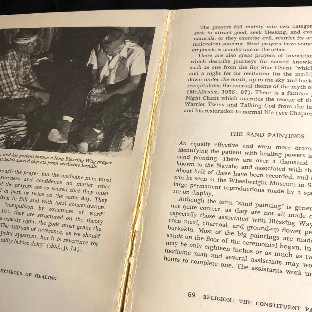 ‘Navajo Symbols Of Healing’ by Donald Sandner