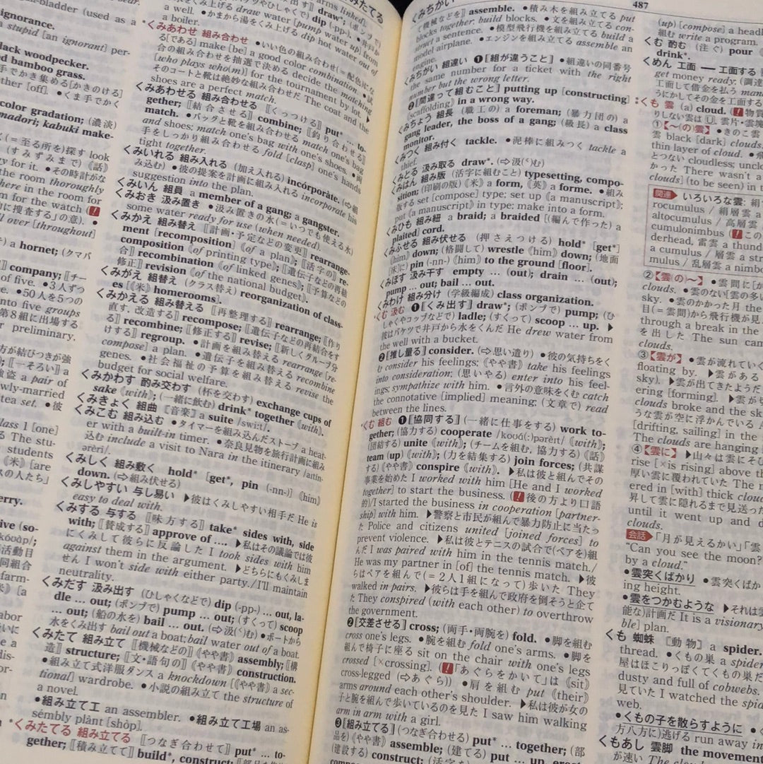 ‘The Wisdom, Japanese-English Dictionary’
