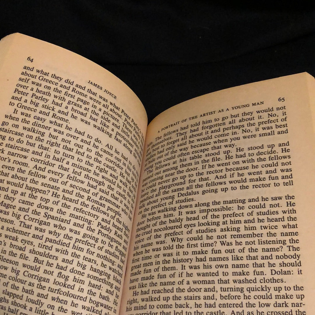 ‘A Portrait of the Artist As A Young Man’ by James Joyce