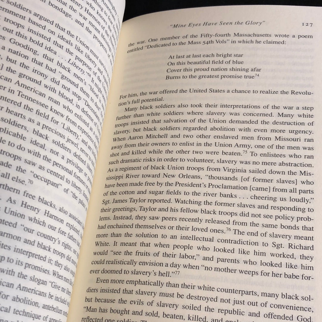 ‘What This Cruel War Was Over’ by Chandra Manning