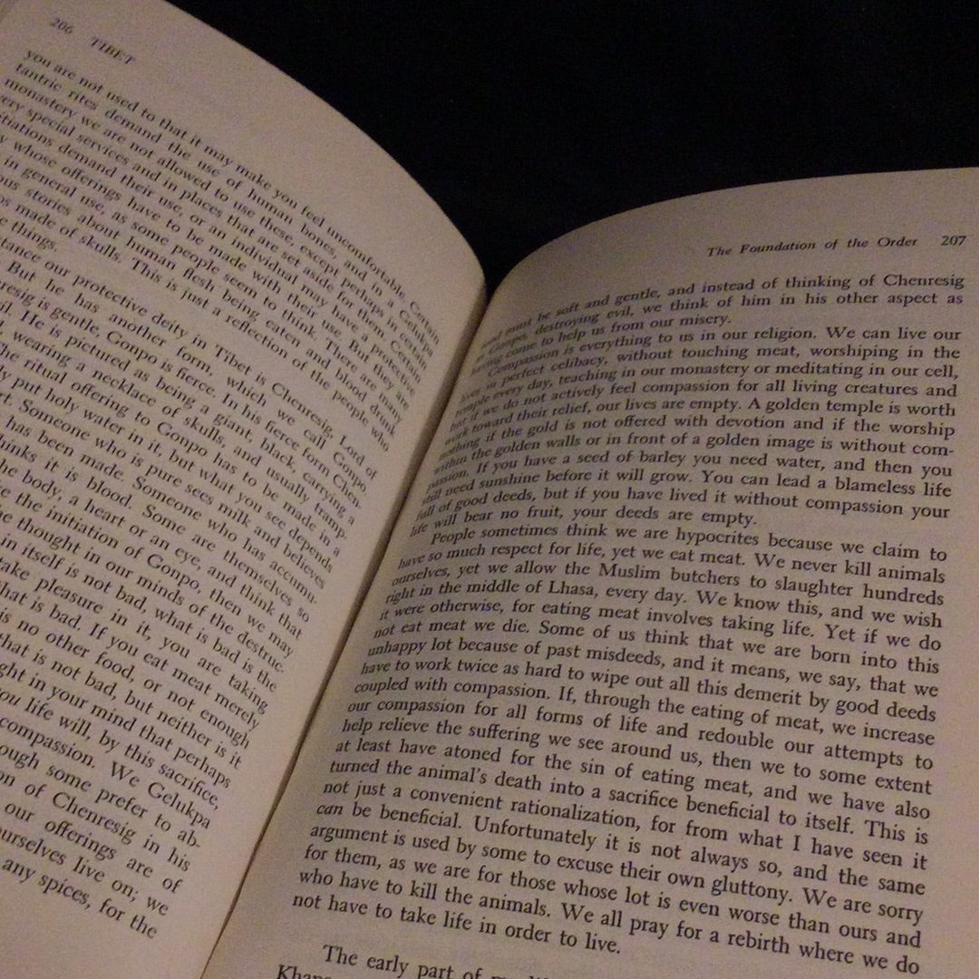 ‘Tibet’ by Norbu & Turnbull