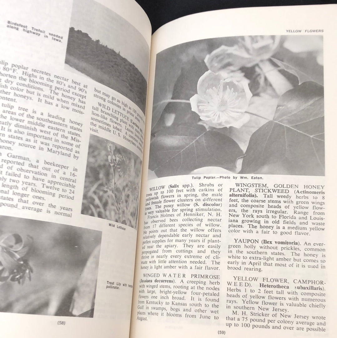 ‘Honey Plants’ by Harvey B. Lovell