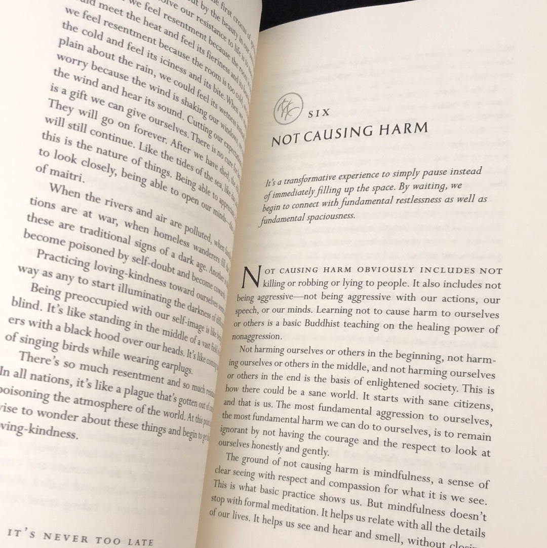 ‘When Things Fall Apart, Heart Advice for Difficult Times’ by Pema Chodron