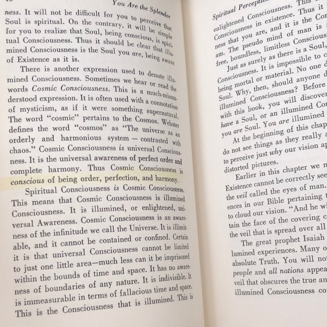 ‘You Are The Splendor’ by Marie S. Watts