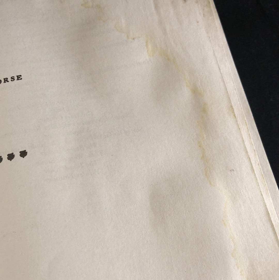 ‘Crazy Horse’ by Mari Sandoz