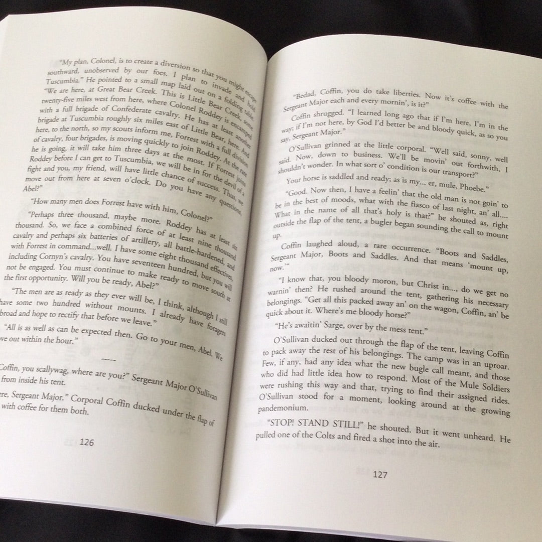 'The Mule Soldiers, A Novel of the American Civil War' by Blair Howard