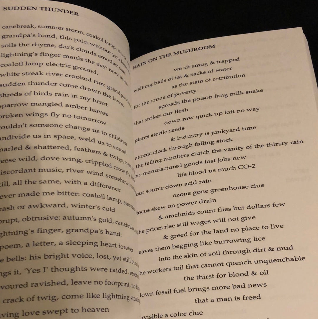 ‘ABRACADABRA’ by Eric Priestley