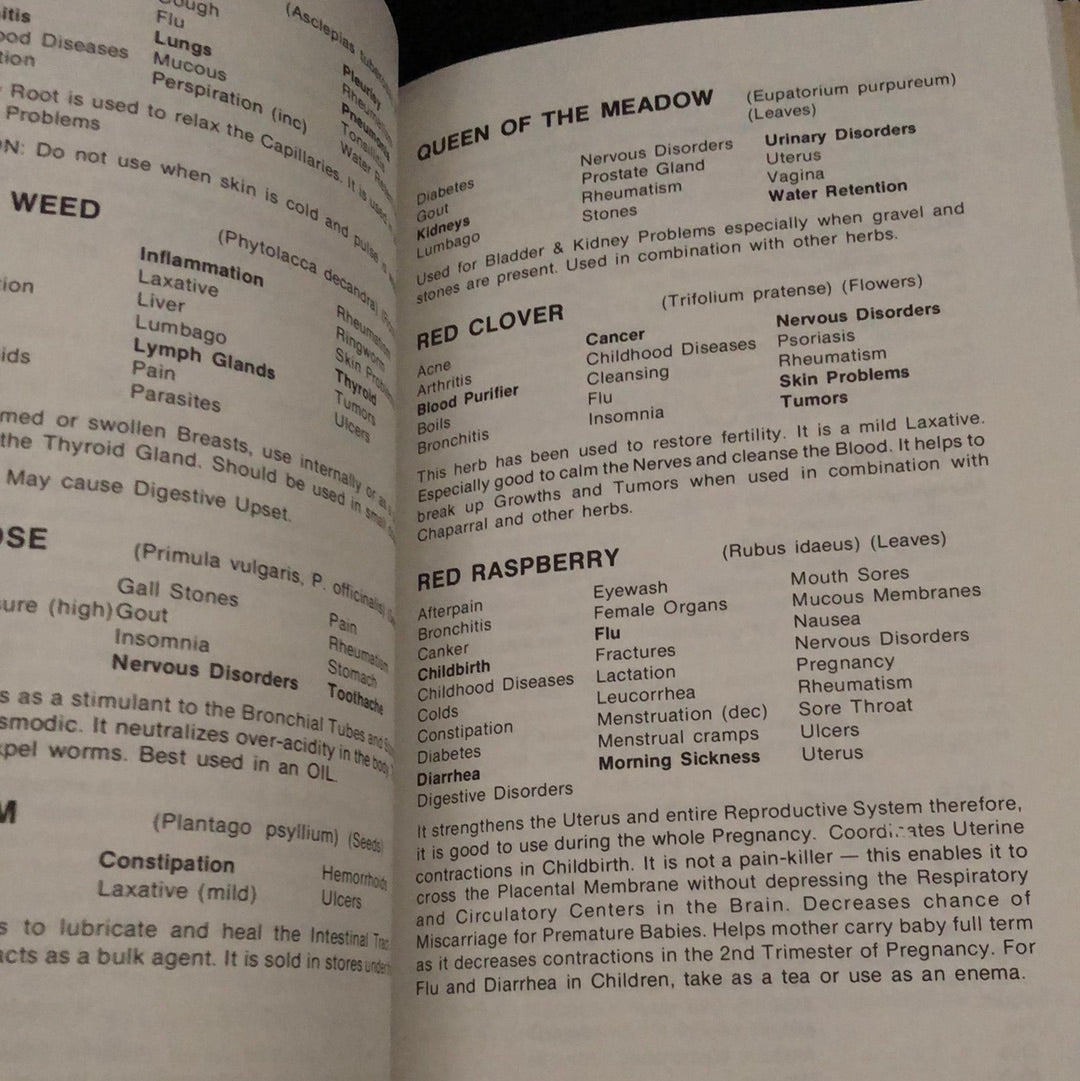 ‘Herbally Yours’ by Penny C. Royal