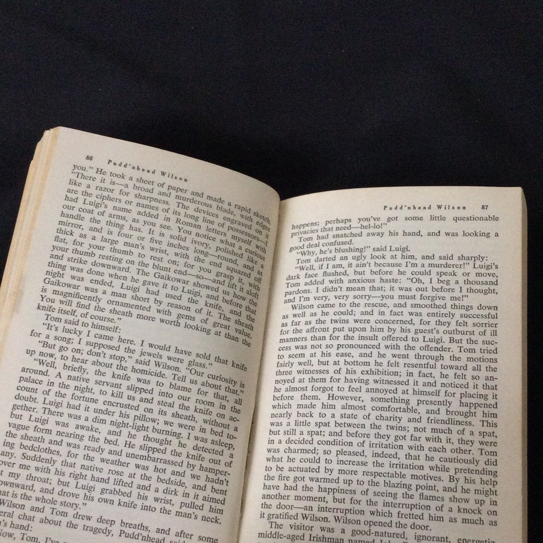 ‘Pudd’nhead Wilson’ by Mark Twain