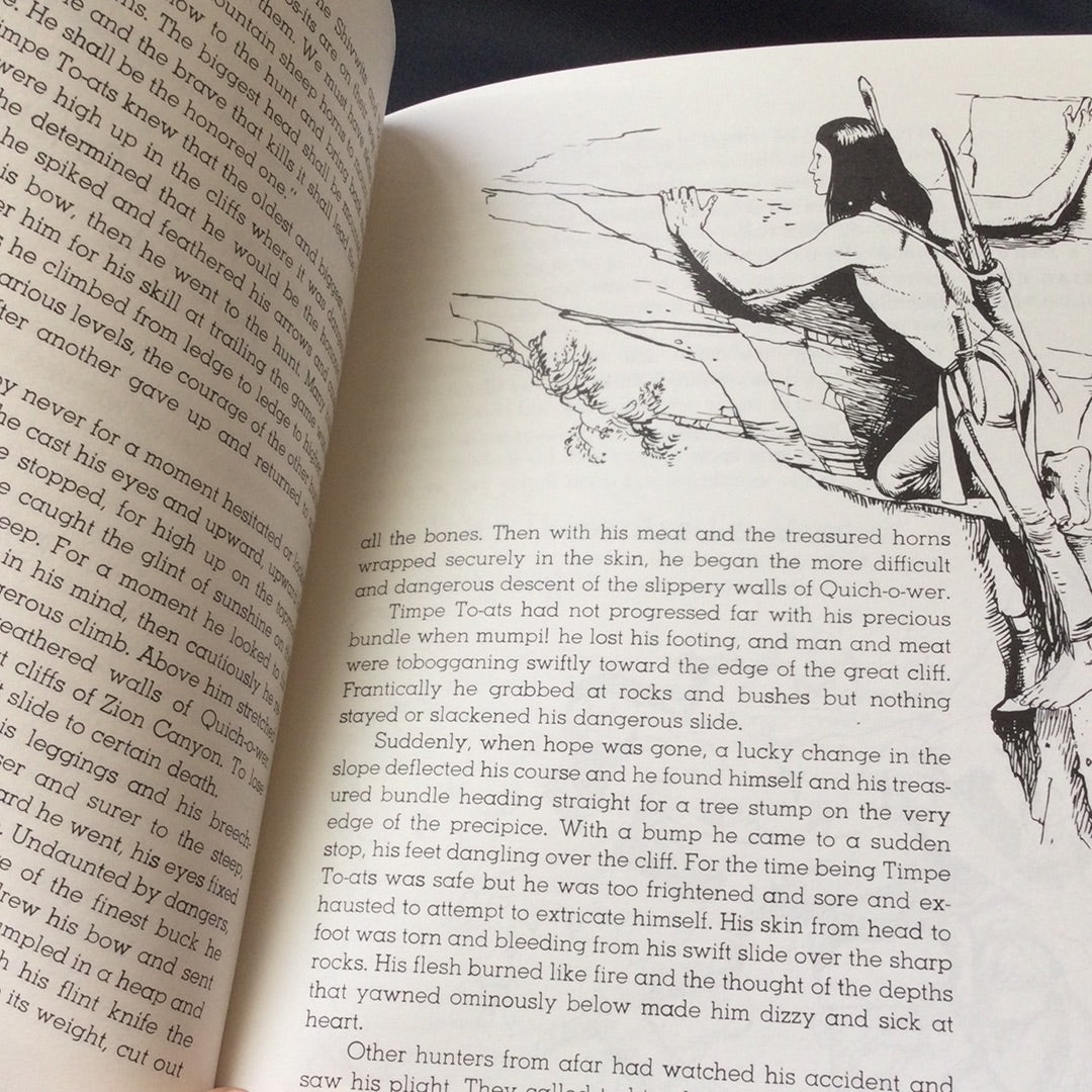 ‘Why the North Star Stands Still and Other Indian Legends’ by William R. Palmer