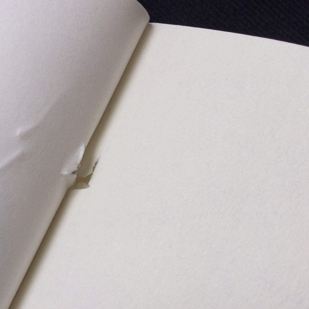 ‘The Mastery of Love’ by Don Miguel Ruiz