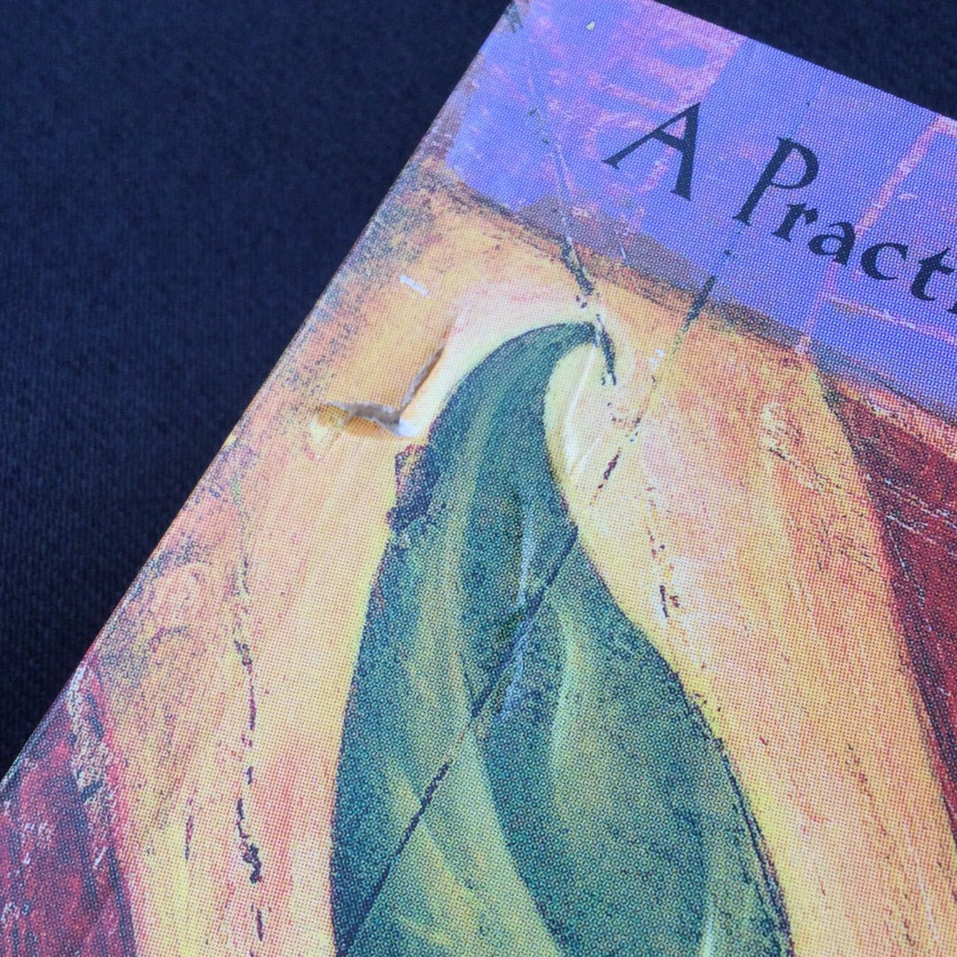 ‘The Mastery of Love’ by Don Miguel Ruiz