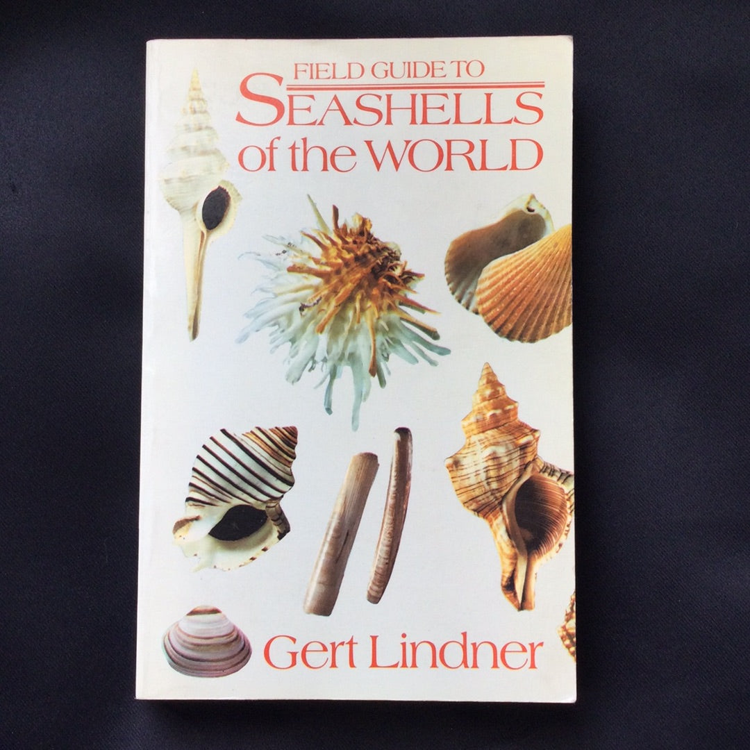 ‘Field Guide to Seashells of the World’ by Gert Linder