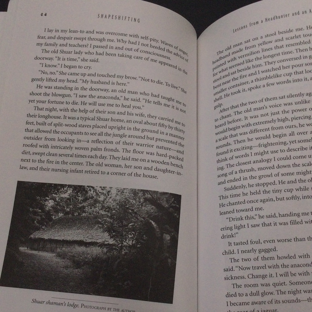 'Shape Shifting, Shamanic Techniques for Global and Personal Transformation' by John Perkinfs