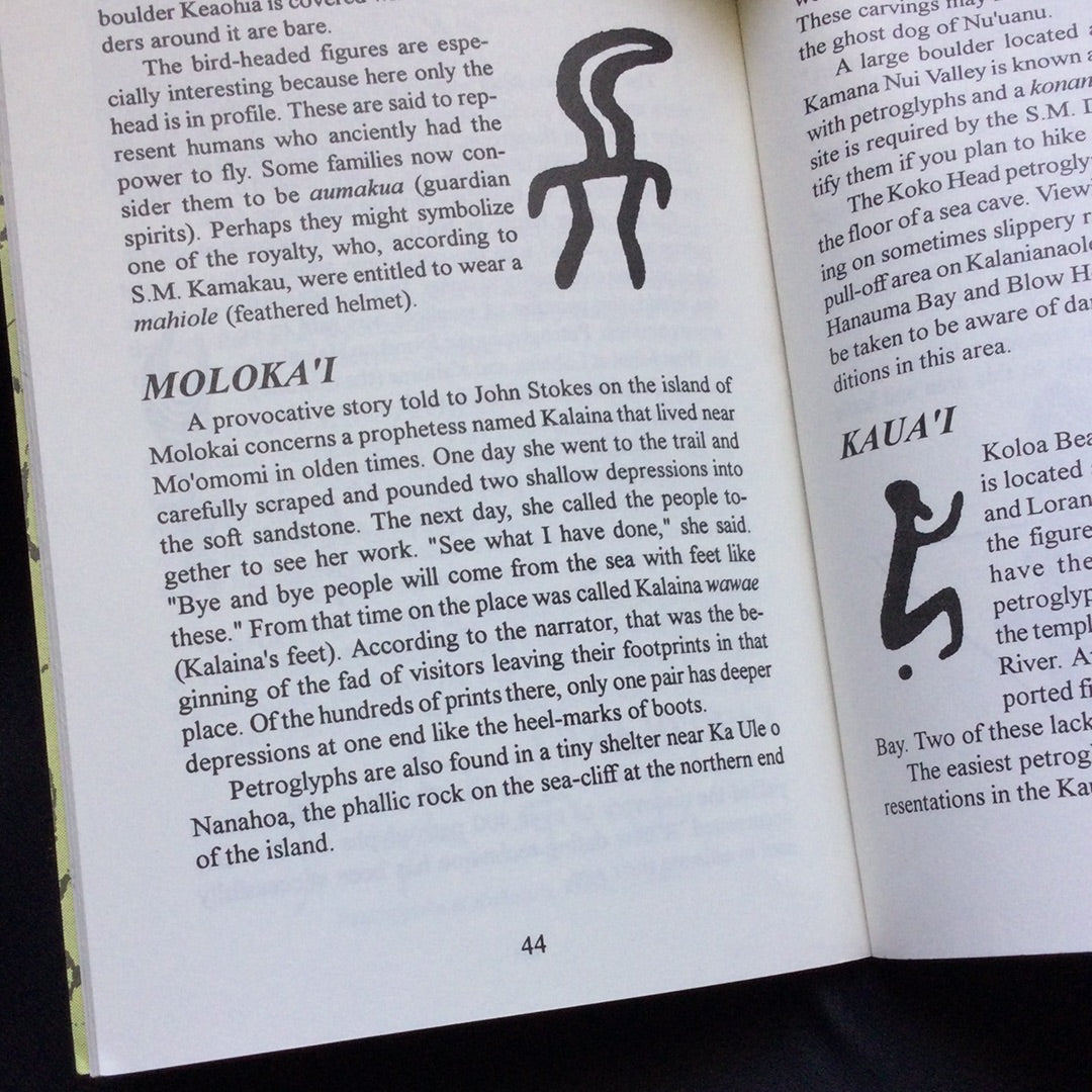 'Petroglyphs of Hawai'i' by Likeke R. McBride