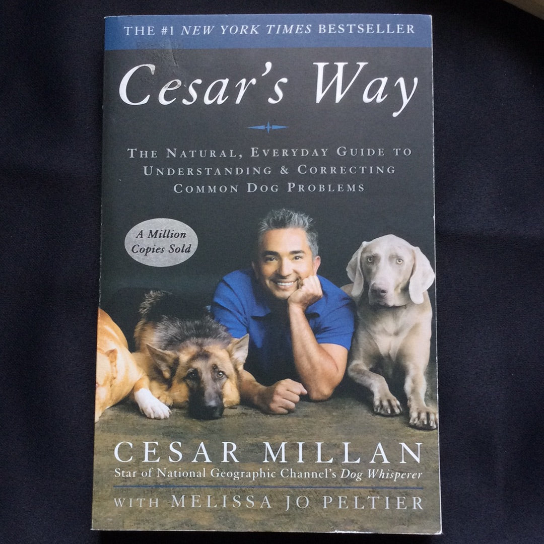 'Cesar's Way' by Cesar Millan