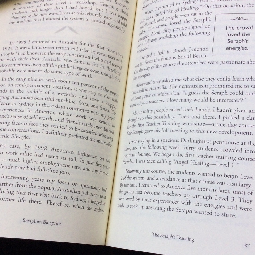 'Seraphim Blueprint: The Power of Angel Healing' by Ruth Rendely