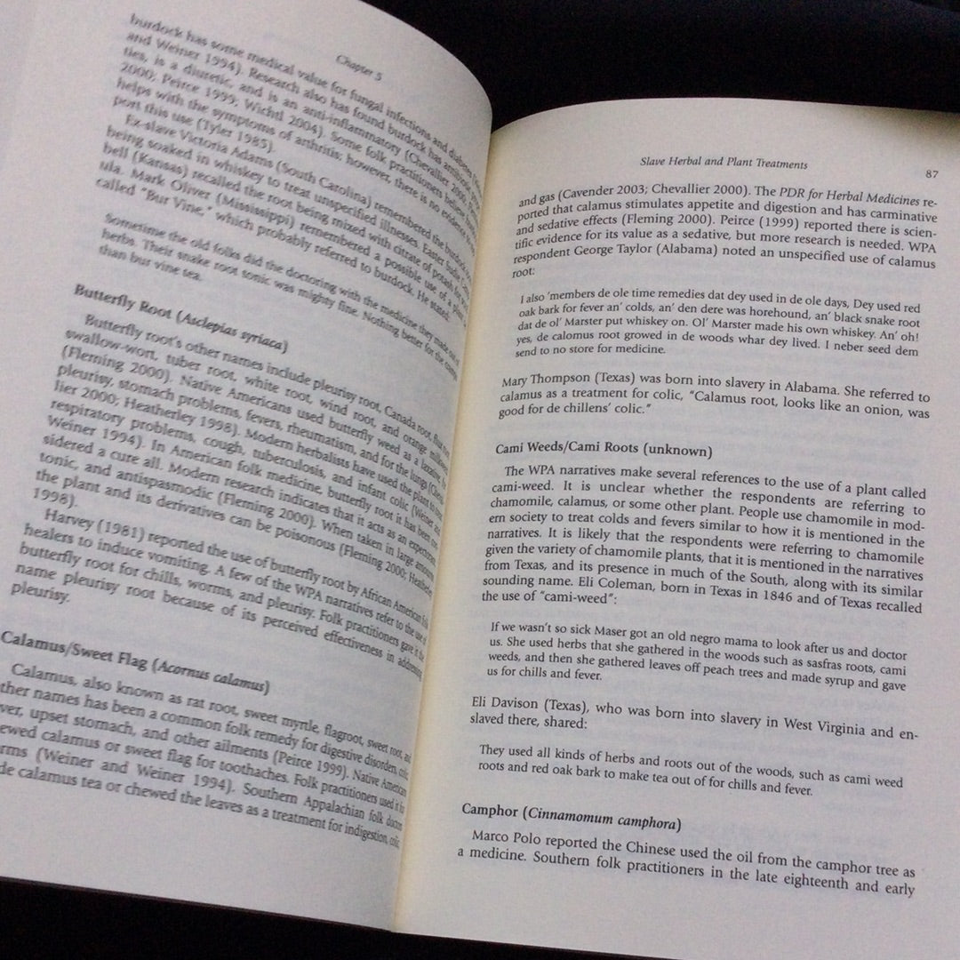 'African Slave Medicine. Herbal ad Non-herbal Treatments' by Herbert C. Covey