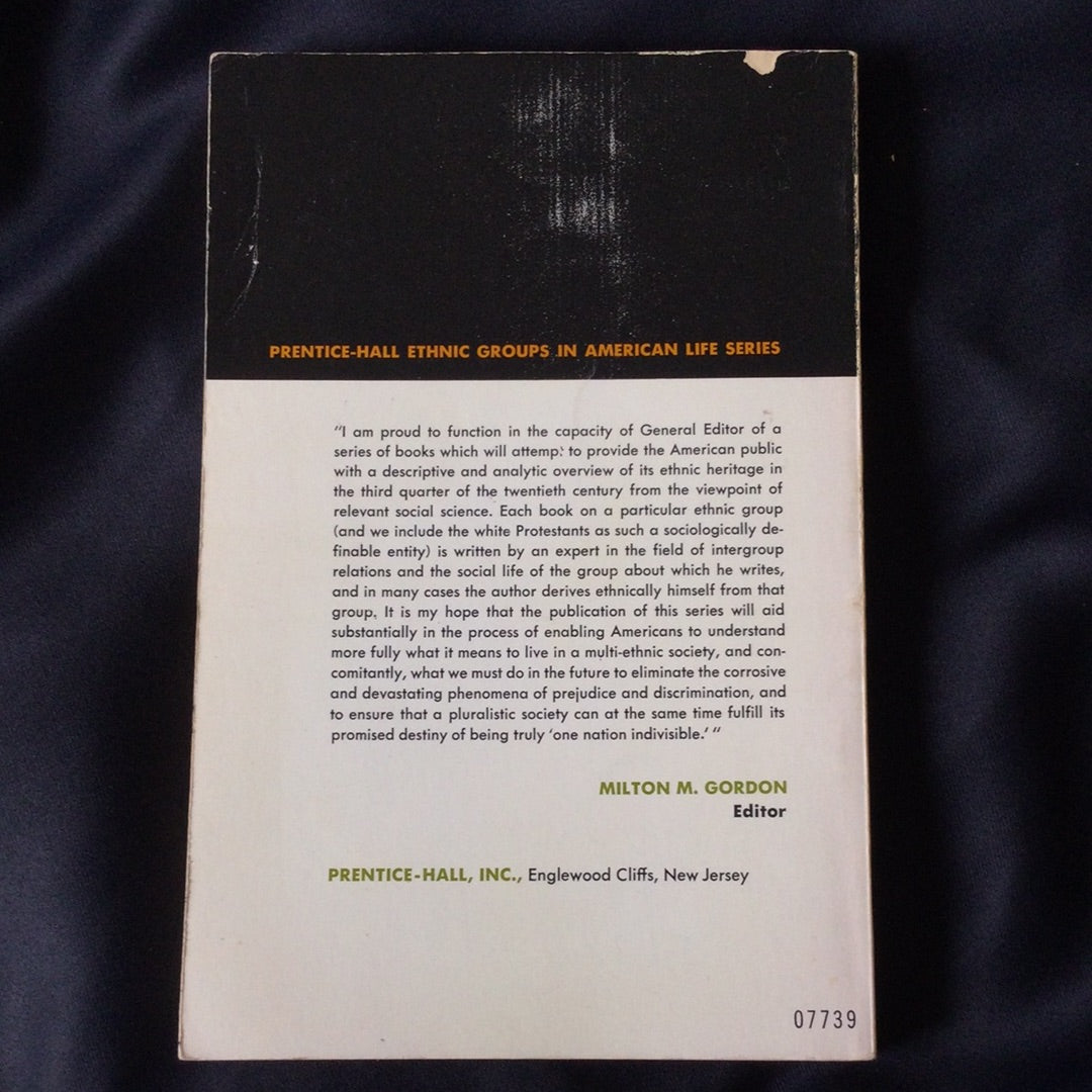 'Black Americans, Ethnic Groups in American Life Series' by Alphonso Pinkney