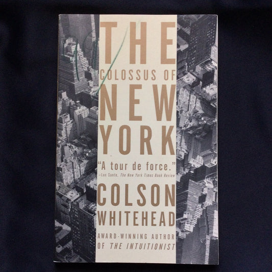 'The Colossus of New York' by Colson Whitehad