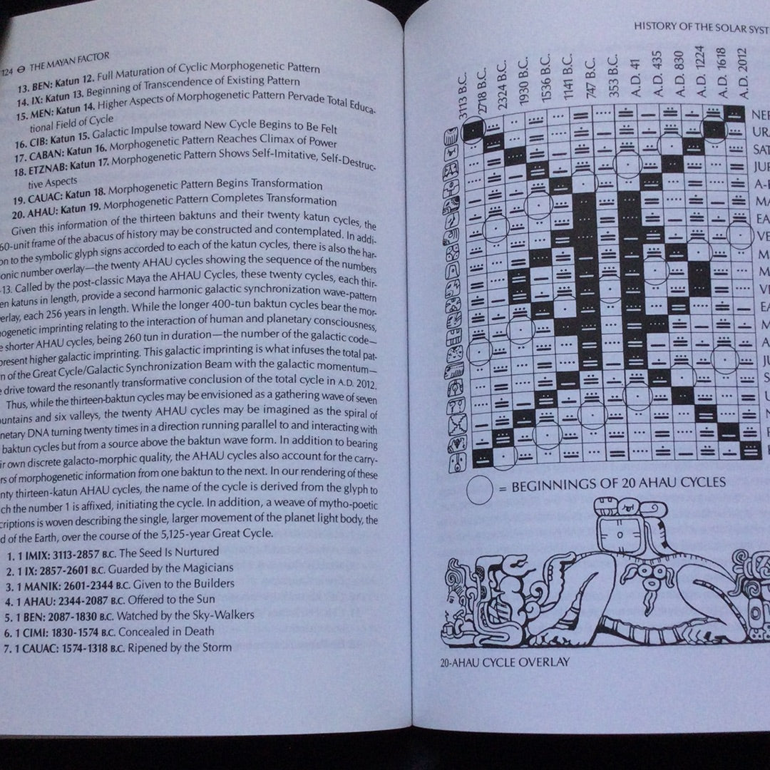 The Mayan Factor, Path Beyond Technology' by Jose Arguelles