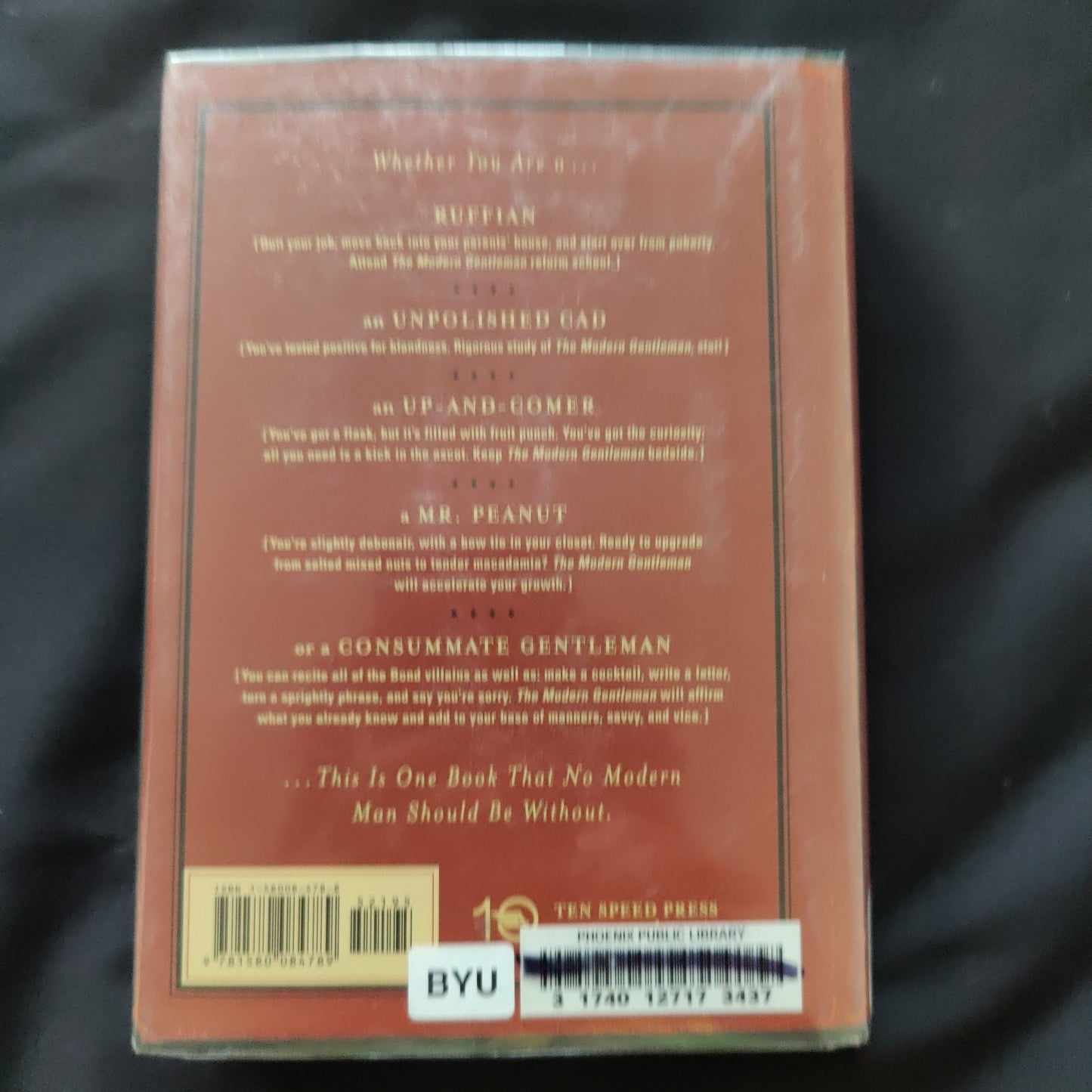 'The Modern Gentleman, A Guide To Emotional Manners, Savvy & Vice' by Phineas Mollod & Jason Tesauro