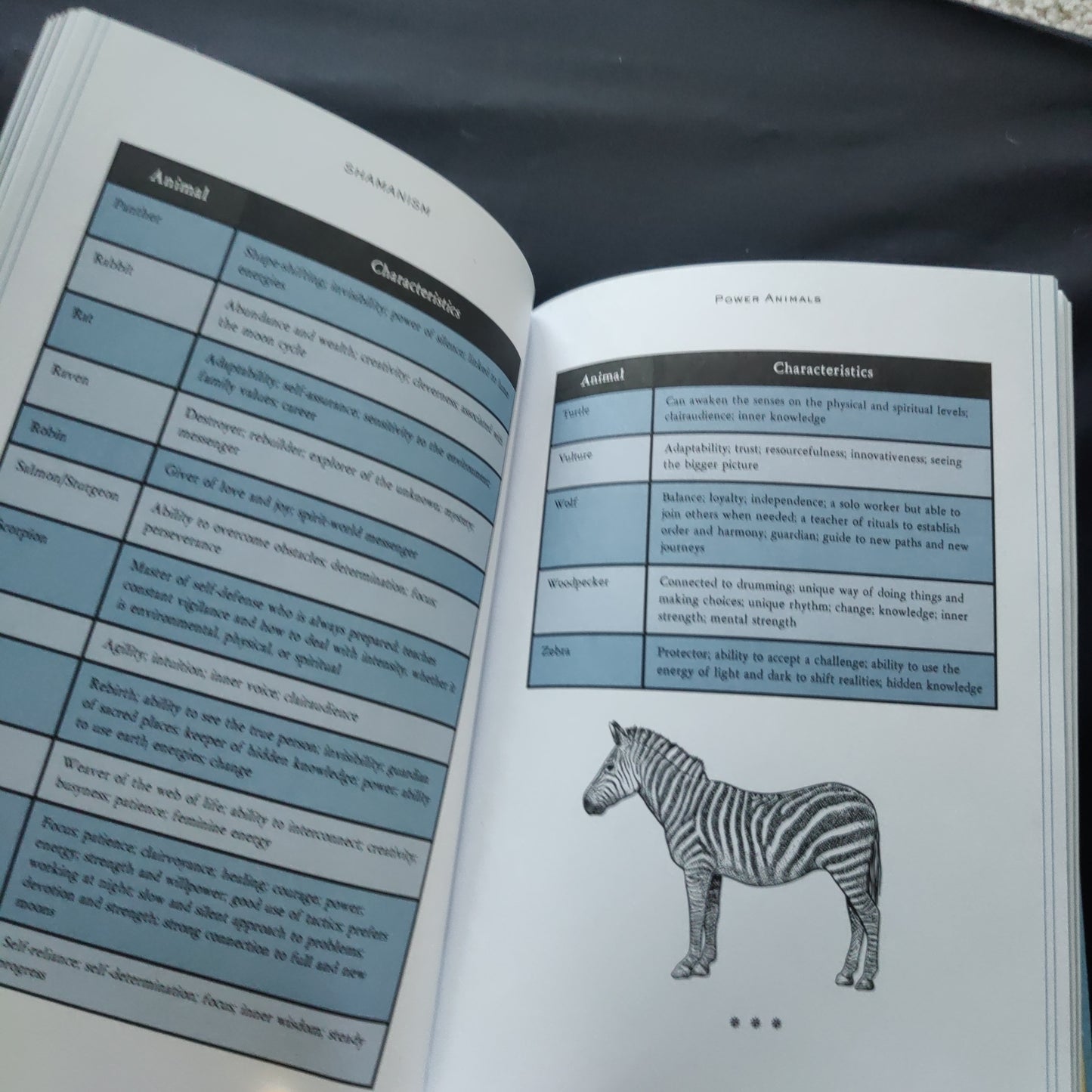 'Shamanism, Your Personal Guide' by Tracie Long