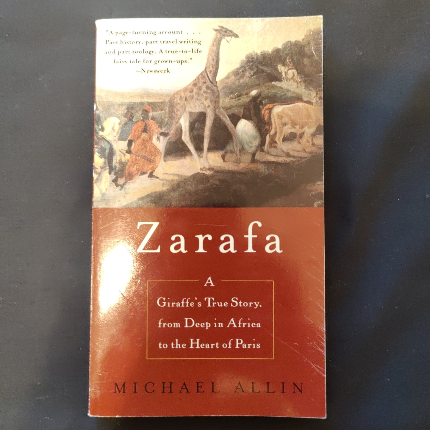 'Zarafa' by Michael Allin