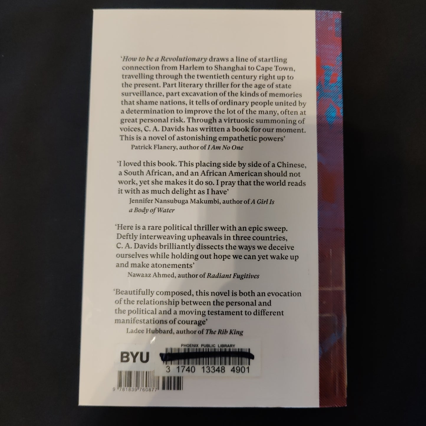 'How to be a Revolutionary' by C.A. Davids