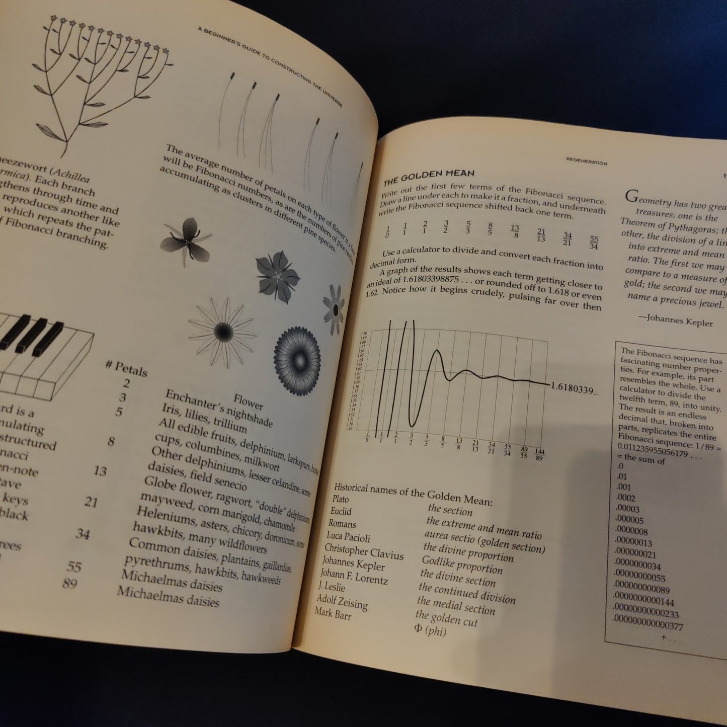 'A Beginner's Guide to Constructing the Universe, Mathematical Archetypes of Nature, Art & Science' by Michael S. Schneider