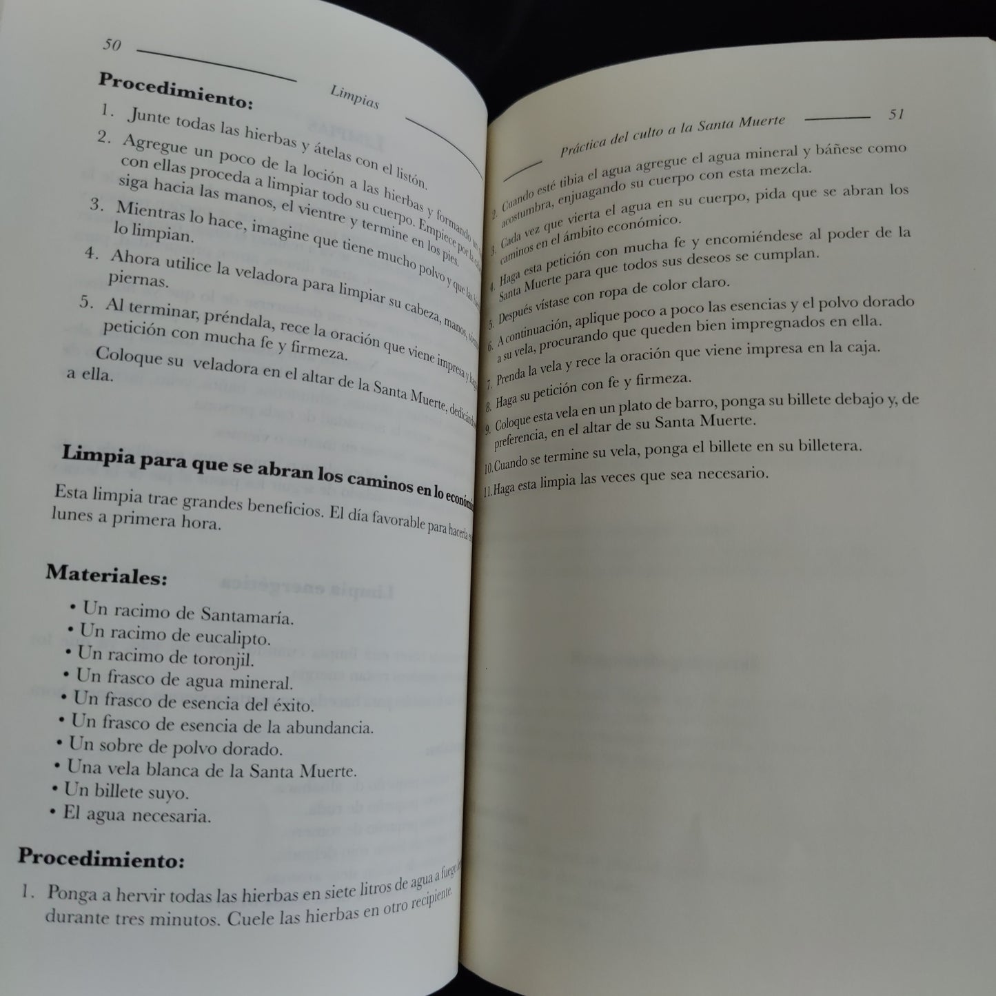 'Practica Del Culto A La Santa Muerte' by Arthemis Guttman